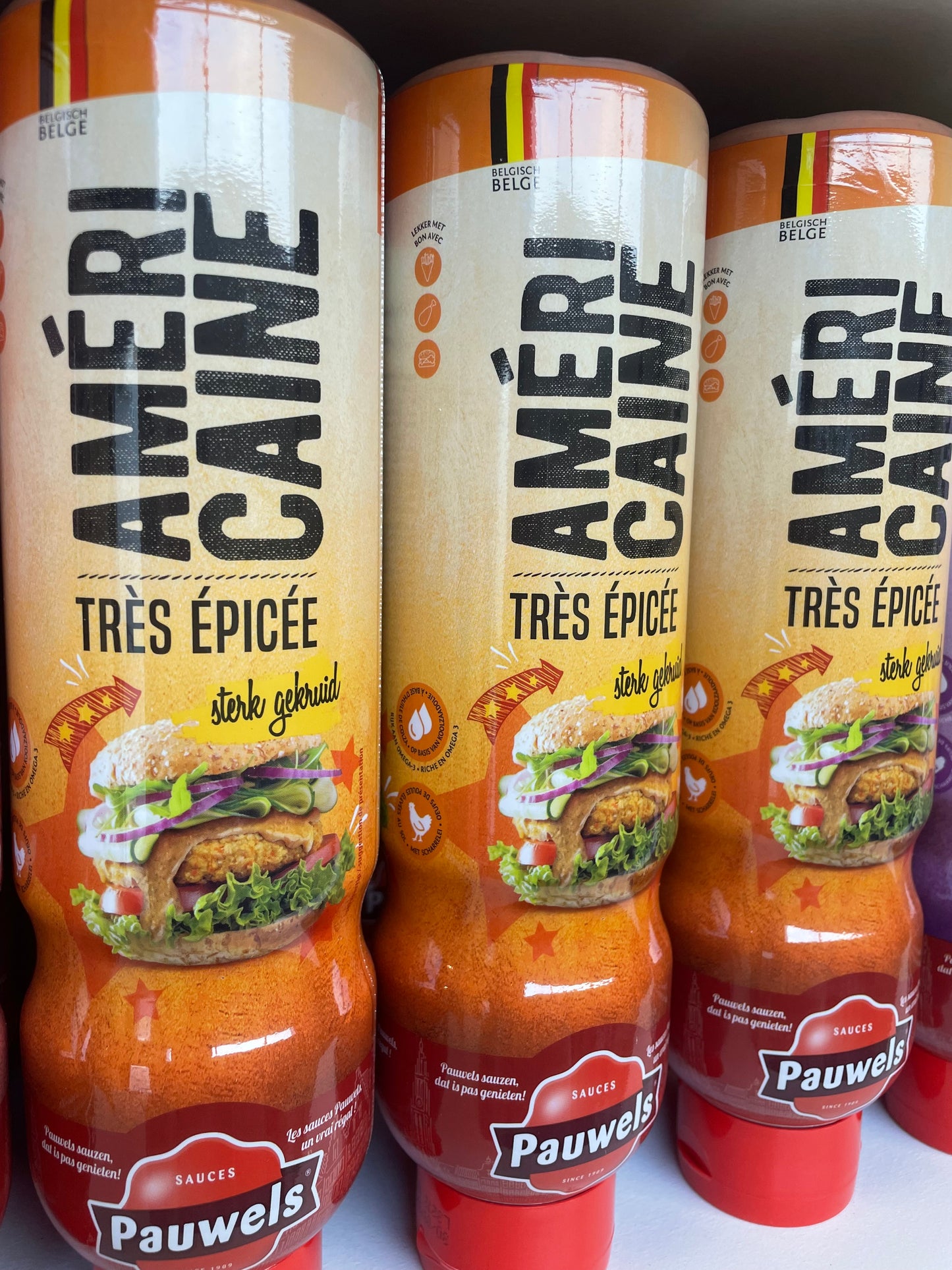 SAUCES PAUWELS 1L TUBE